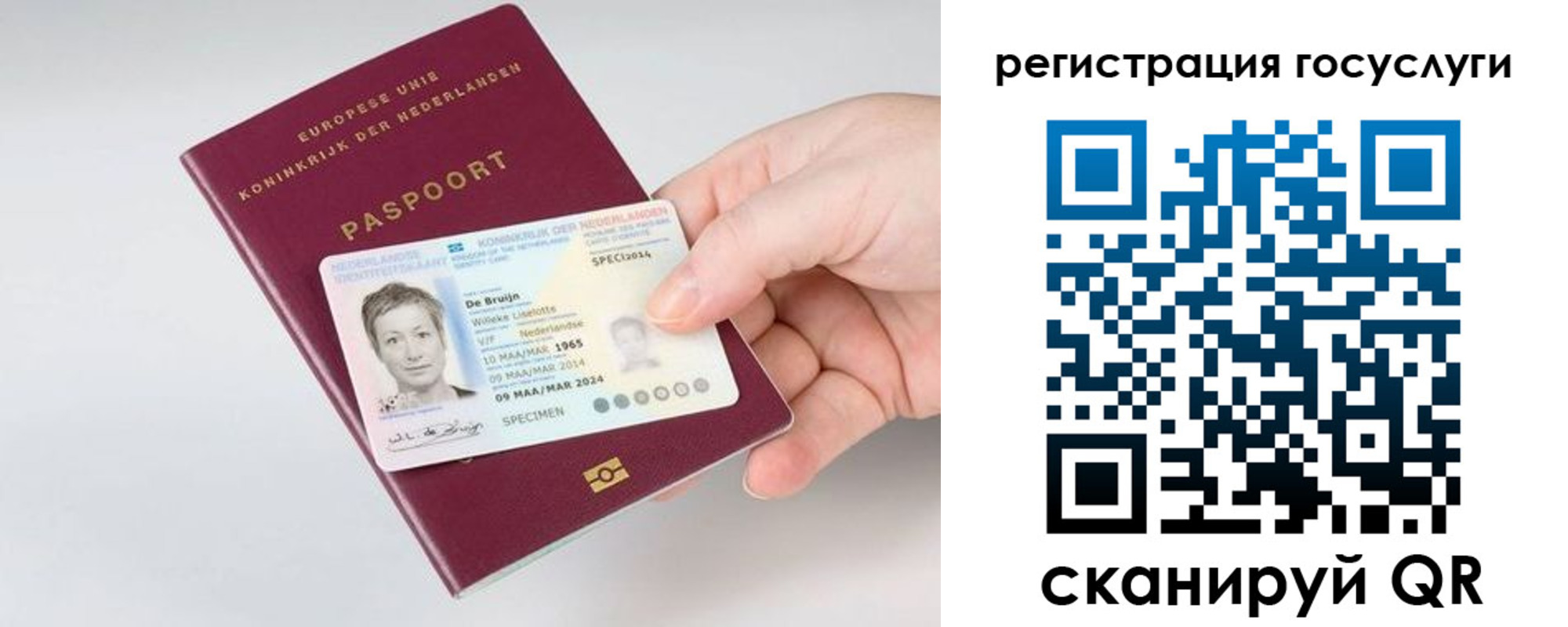 регистрация для дет. сада в Нововоронеже